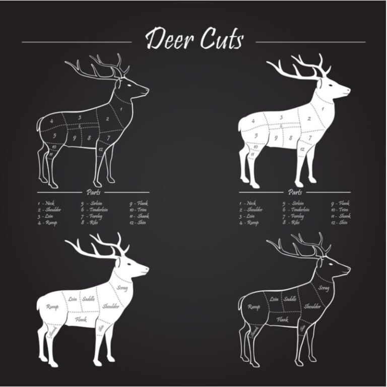 The Benefits of Hunting for Your Own Food Food Sec