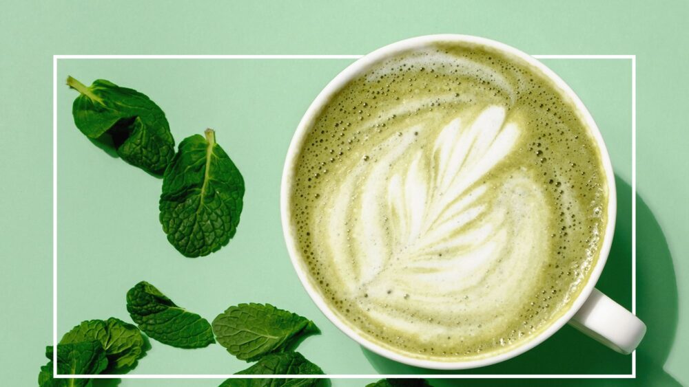 Matcha Tea Vs Matcha Powder Which is Better? Food Sec