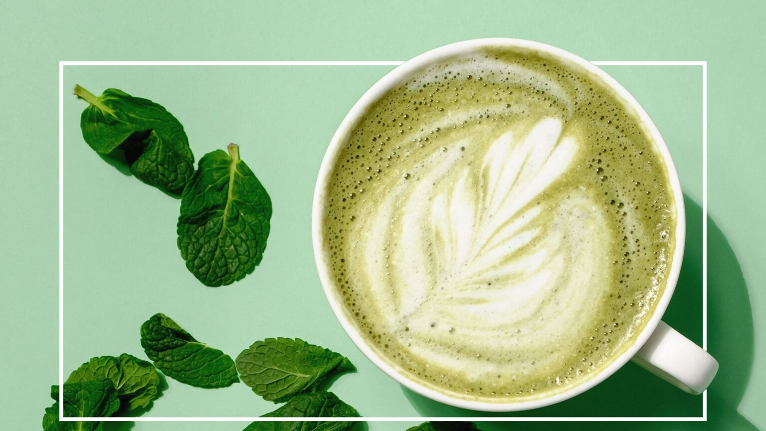 Matcha Tea Vs Matcha Powder Which is Better? Food Sec